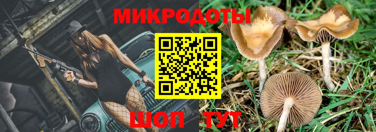 Галлюциногенные грибы Magic Shrooms  Вход с VPN  Севастополь 