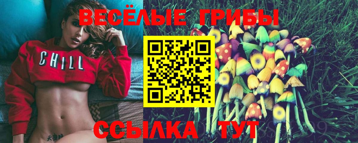 Галлюциногенные грибы Psilocybe Севастополь